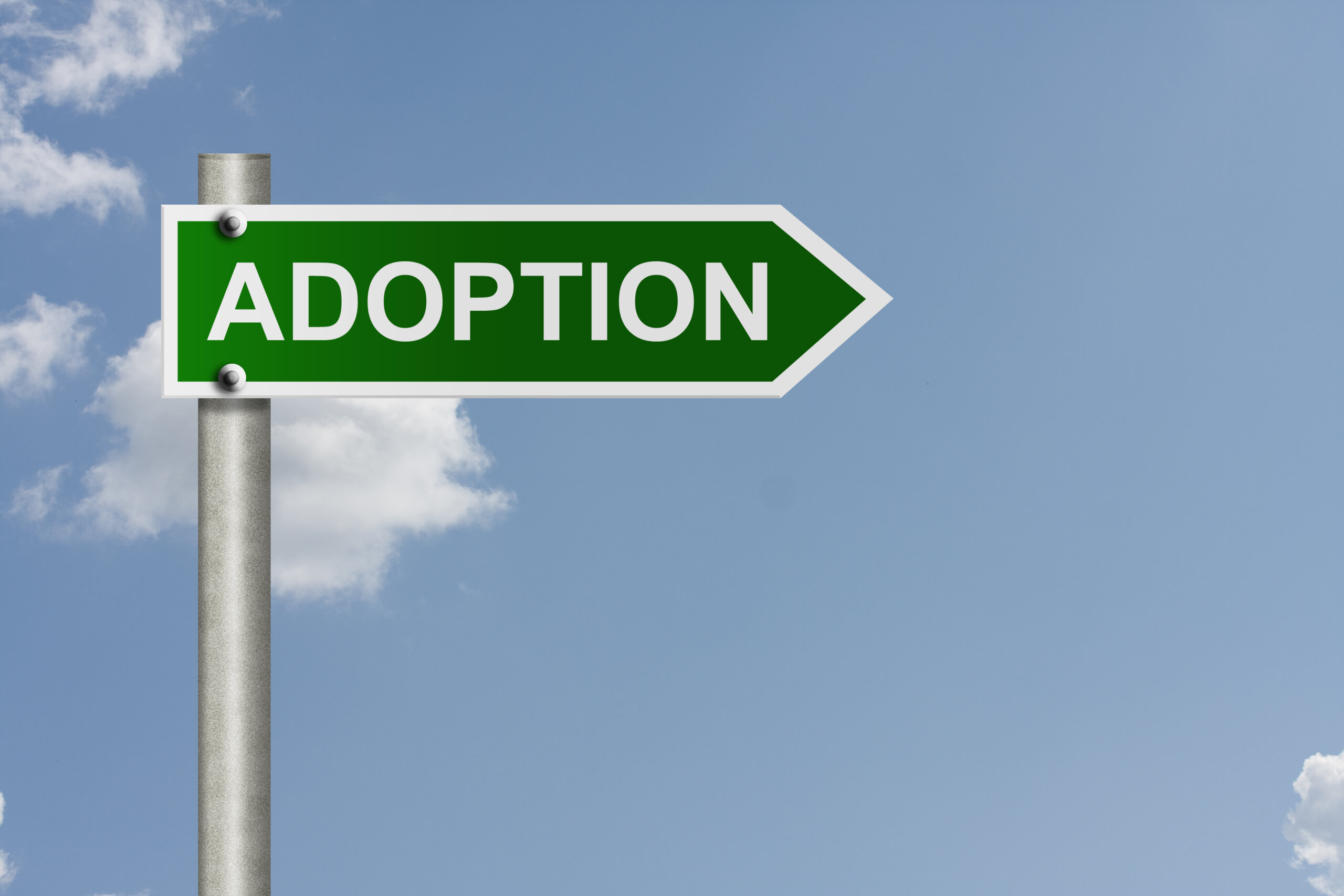 Kann ein Vater die Adoption seines Kindes verhindern? 4 Adoption des Kindes