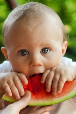 baby vegan ernähren