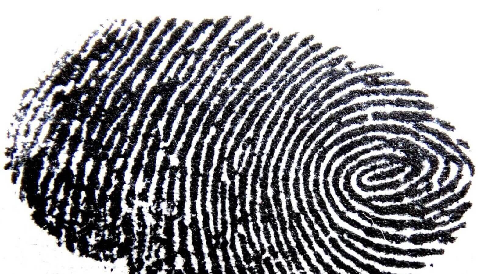 fingerprint 456483 1280 edited 2